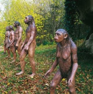  La evolución anle tus ojos 